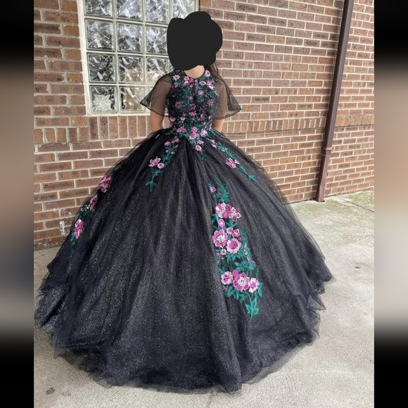 EUC 💗 15 Roses 💗Quincenera dress 🖤 Beautiful Princess Ball Gown, size 2 - Picture 4 of 14
